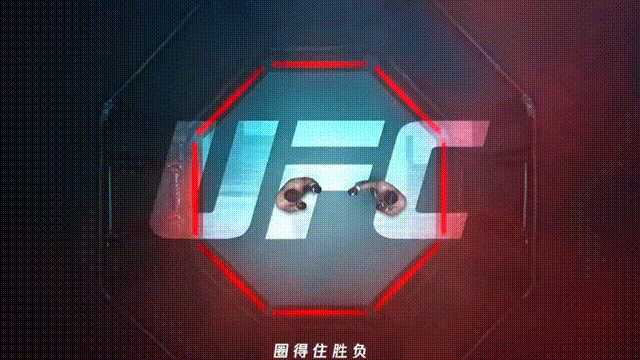 武林风先导片节目效果