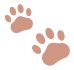 猫爪分隔符