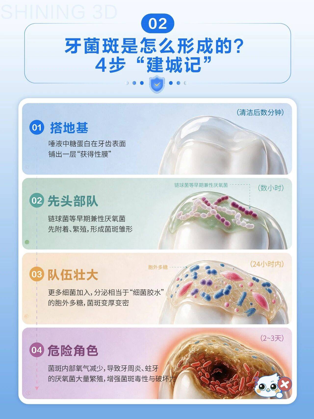牙菌斑是怎么形成的