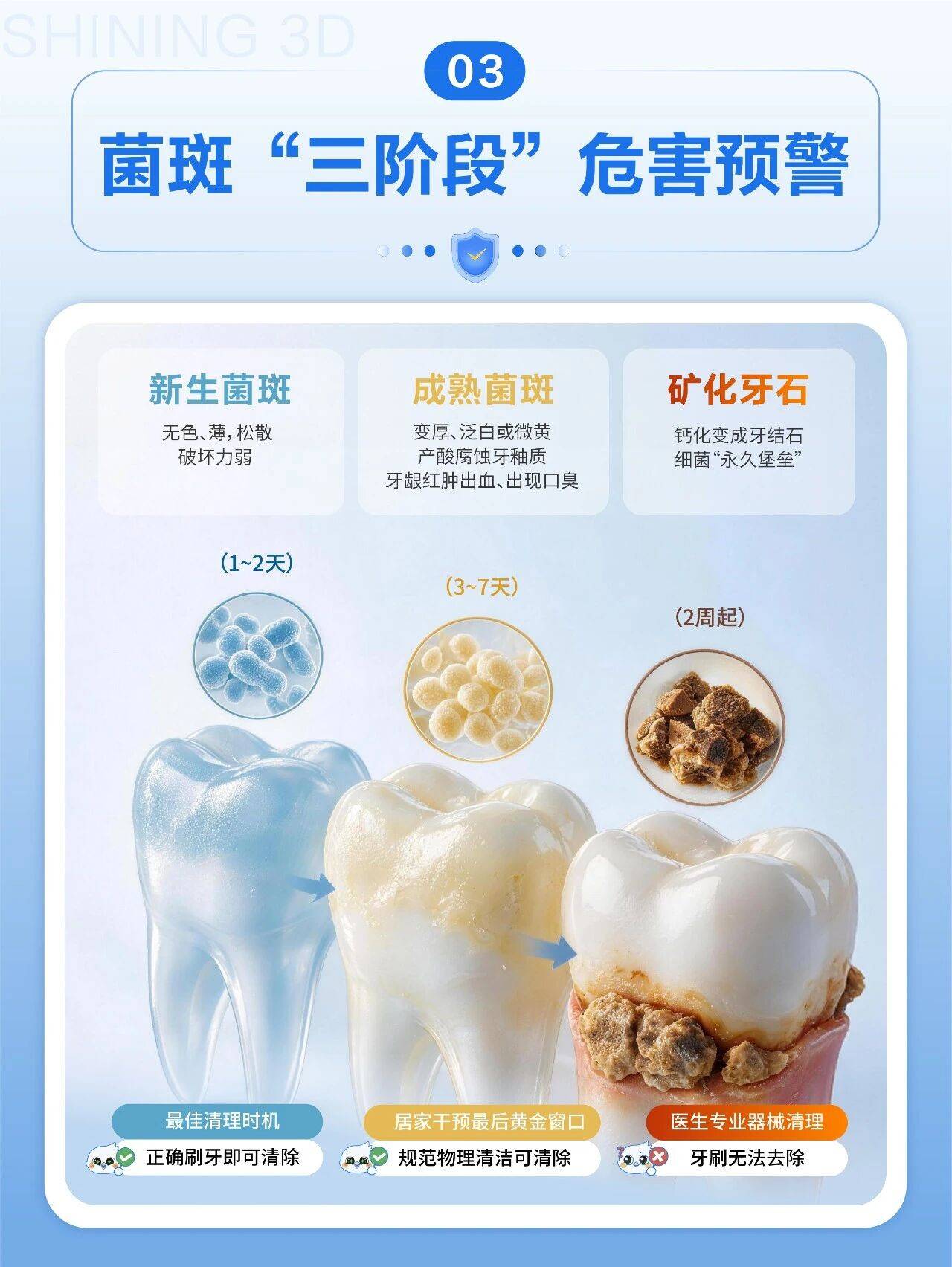 菌斑三阶段危害步步升级