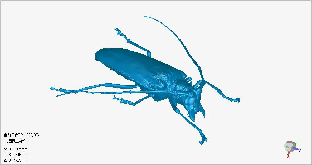 昆虫标本的制作-先临三维扫描仪的应用